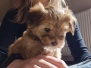 MIOT M / LITTER M ur. born 09-03-2025